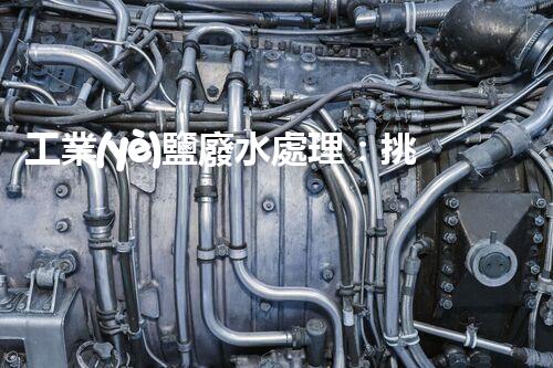 工業(yè)鹽廢水處理：挑戰(zhàn)與創(chuàng)新，誰能拯救這一生態(tài)危機？
